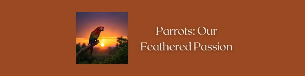 Jim Juris website parrot banner